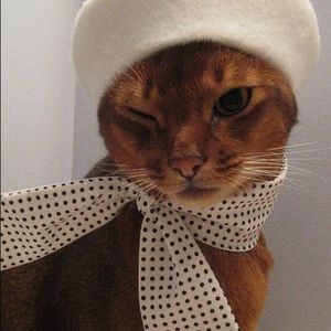 Meet your Posher, Laura